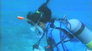 Rgbmaterial Sports Diving 33