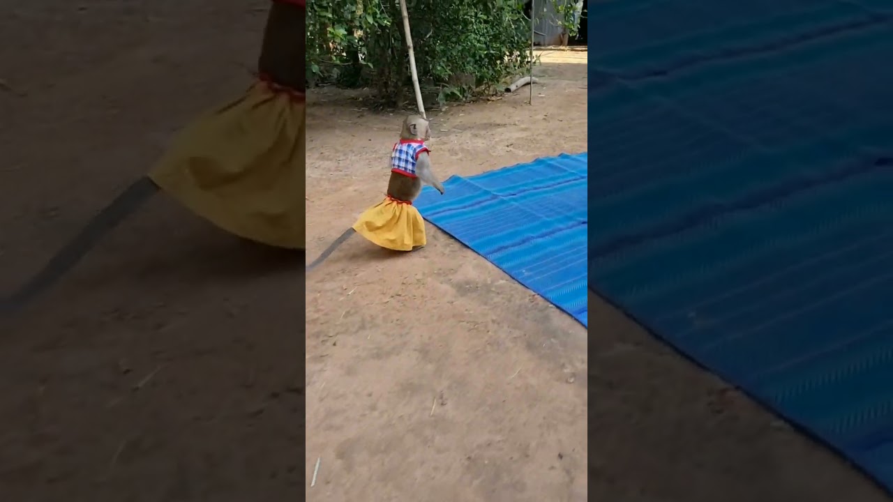 If Mom Talking To Shally Normally Return Back So Lovely