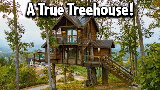 Luxury Treehouse Airbnb in Asheville, North Carolina! by Journey More 1,780 views 6 months ago 9 minutes, 40 seconds