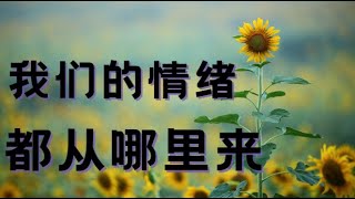 我们的情绪都从哪里来