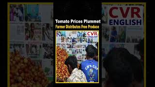 Tomato Prices Plummet, Farmer Distributes Free Produce | CVR ENGLISH