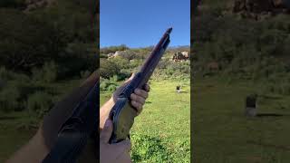 Black Powder 10 Gauge