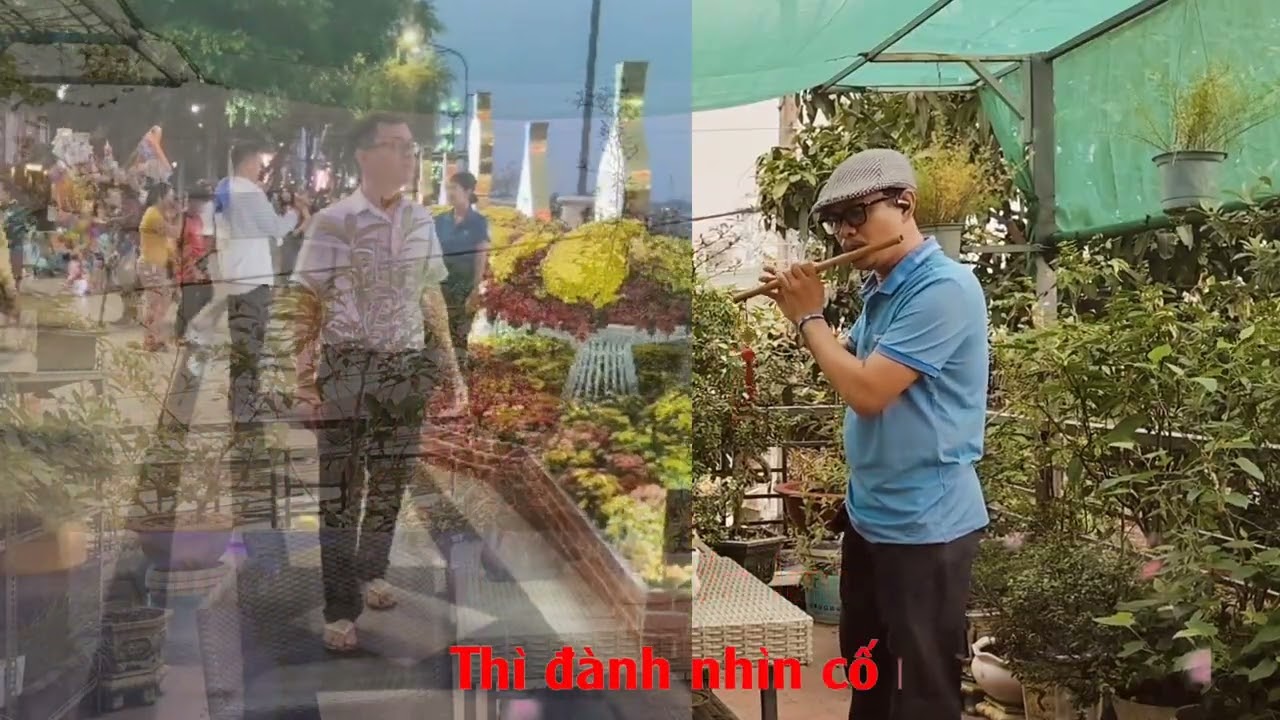 Mộng Tình Si ❤️ cover sáo trúc Bá Hậu 🌾🌾🌾