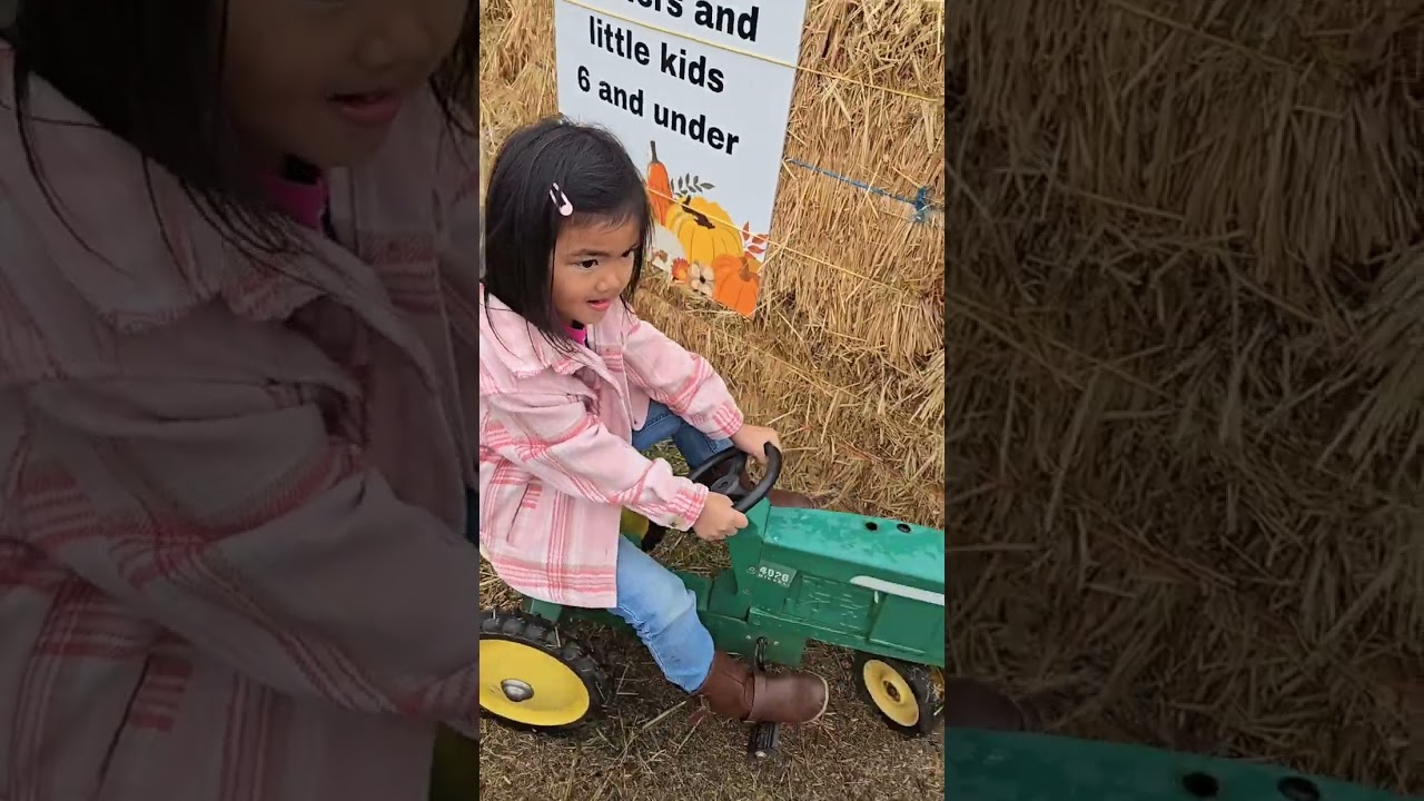 Avery Yang 2025 Pumpkin Patch