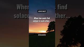 Solace in Love: Finding Home in Each Other #shorts #lovequotes #subscribe