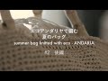 #2【後編】エコアンダリヤで編む夏のバッグ / summer bag knitted with eco - ANDARIA【ゴリ姉の編みもの時間 / GorineE Knitting Time】END