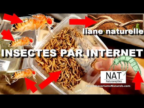 Naturareptiles - Produit