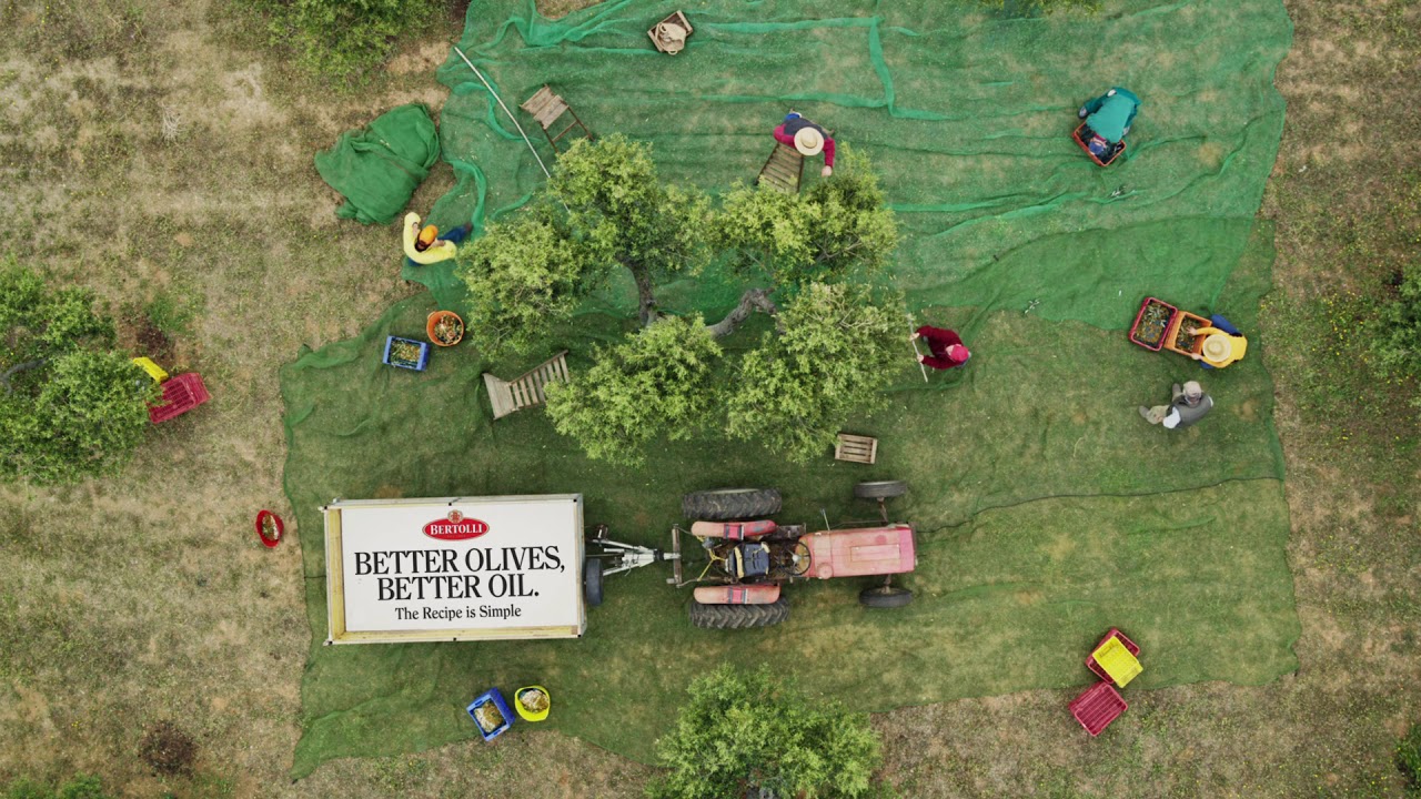 Better Olives, Better Oil | Quality | Bertolli Olive Oil (TV :15)