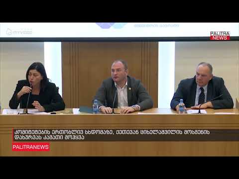კომიტეტების ერთობლივ სხდომაზე, ქეთევან ციხელაშვილის მოსმენის დახურვას კამათი მოჰყვა