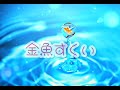 金魚すくい藤田麻衣子 歌ってみた【by春香】