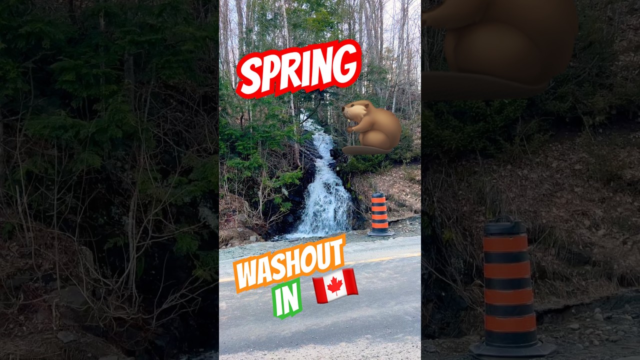 Beaver dam broke and caused this wash out!