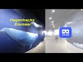 SpecialMoments: - Hagenbecks Eismeer - VR180 ⎥3D