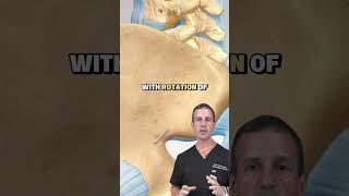 How To Get Rid Of Back Pain