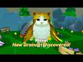 How to unlock  NEW SECRET MEOWL in Brainrot Evolution! (roblox)