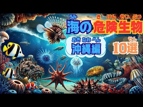 Top 10 Dangerous Creatures in Okinawa's Ocean] Explaining the