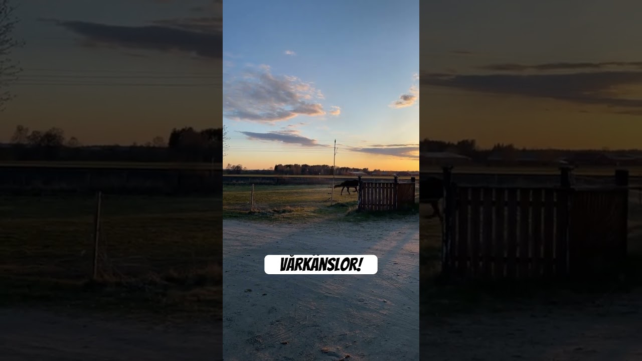 Äntligen vår! ☺️ 