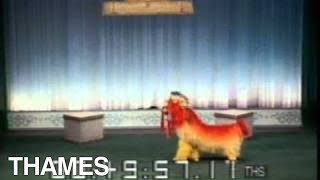 Chinese Circus | Chinese Acrobats | Thames Television |1984