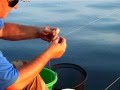 Рыбалка ночью: ловим Леща. "О Рыбалке Всерьез" видео 161