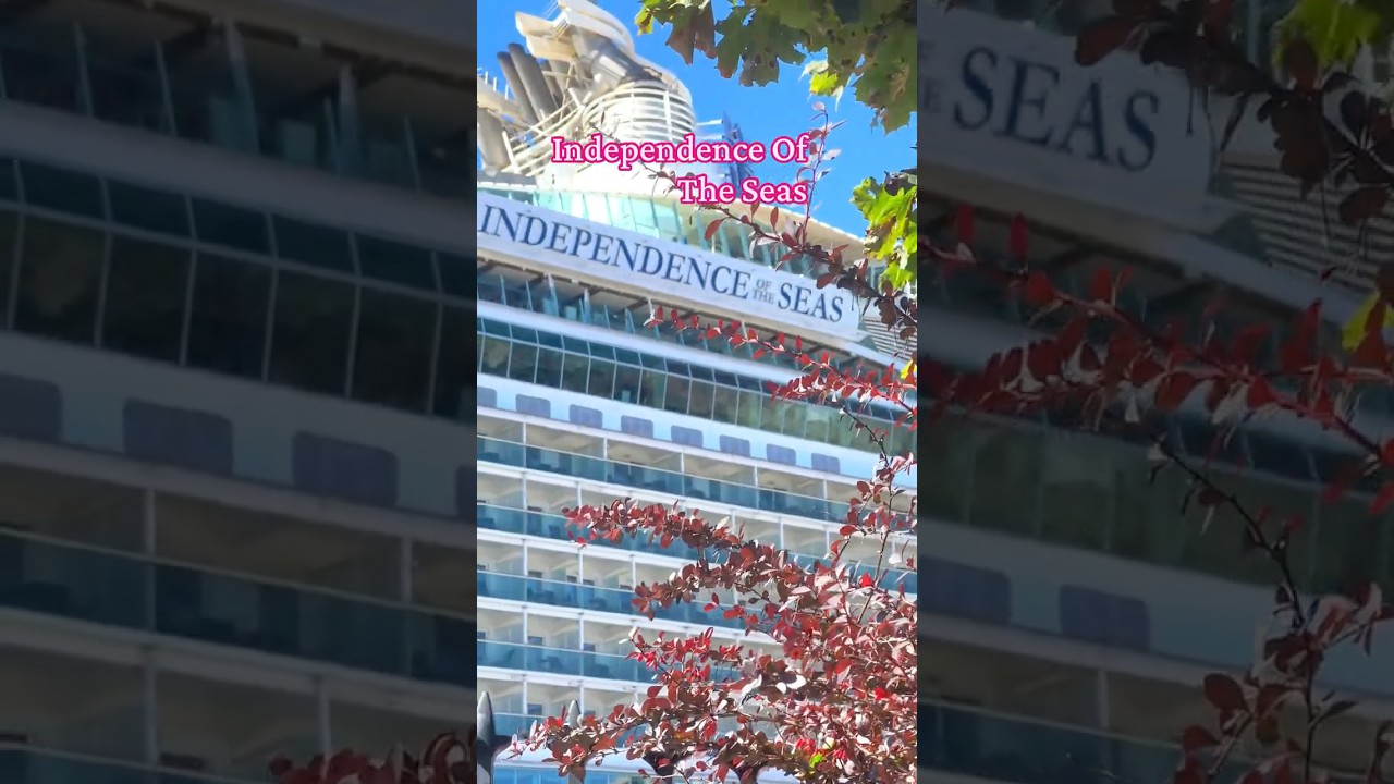 You Won’t Believe This Cruise Ship!  #shorts #trending #viral