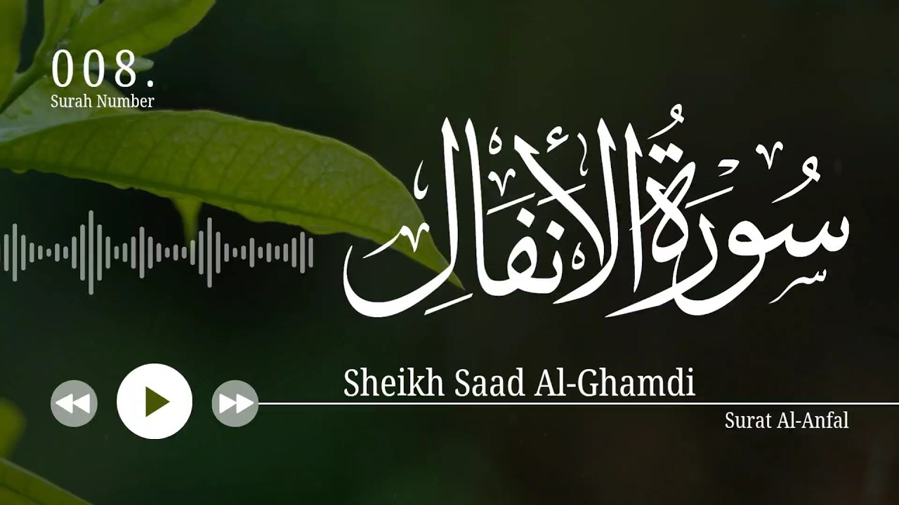 سورة الأنفال - سعد الغامدي | Surat Al-Anfal - Saad Al-Ghamidi 