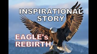 Story of an EAGLE - The Rebirth - Powerful and Inspirational video