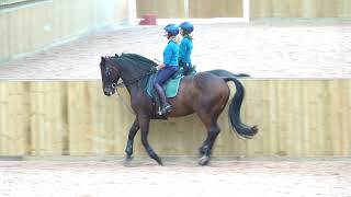 20201014 Werzel Lesson 12 x 1 times