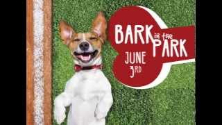Bark in the Park