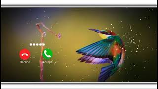 SOFT RINGTONE NEW TONE NOTIFICATIONS screenshot 5