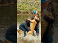 Viral captured while visiting arizona  man saves his dog