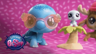 Littlest Pet Shop - Whos In Your Littlest Pet Shop? Official Tv Commercial