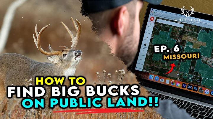 How to Find BIG BUCKS on Public Land! Do This!!