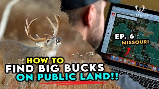 How to Find BIG BUCKS on Public Land! Do This!!
