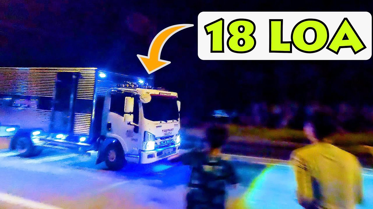 Dâu Tây | Săn Kèn Gặp Xe Basuri 18 Loa !