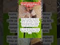 ZASKIA SUNGKAR & NAGITA SLAVINA #fypシ゚viral #shortsviral #trendingtopik #masukberanda #gosipartis