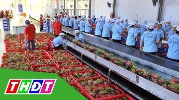 Ngành nông sản mở rộng thị trường xuất khẩu | THDT