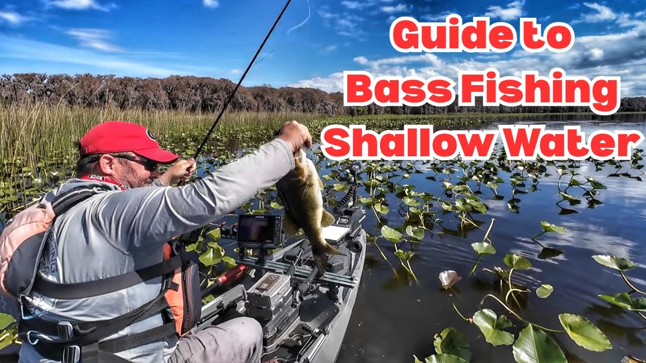 Tips and Tricks to Bass Fishing in Shallow Water