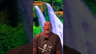 Download Lagu Pillar 7 Independence. Breath and movement are independent. #trainyourbreath #breathcontrol MP3