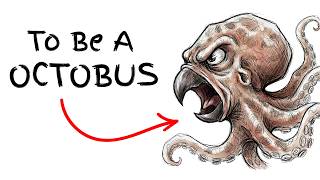 WHAT WOULD LIFE BE LIKE AS AN OCTOPUS 