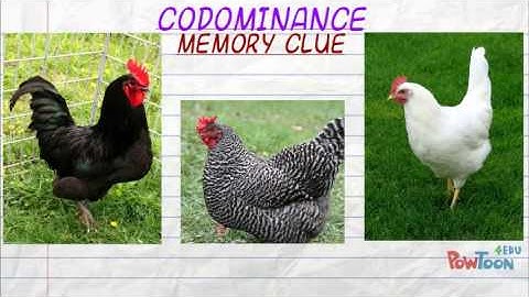 Inheritance patterns