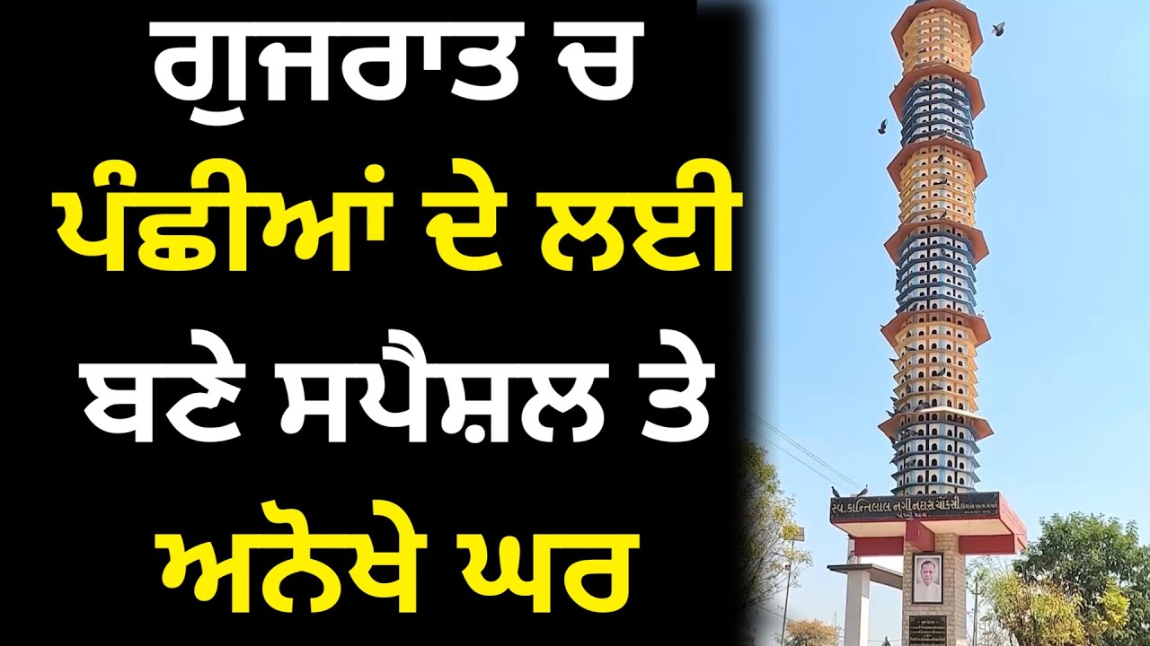 ਗੁਜਰਾਤ ਚ ਬਣੇ ਪੰਛੀਆਂ ਲਈ ਸਪੈਸ਼ਲ ਤੇ ਅਨੋਖੇ ਘਰ