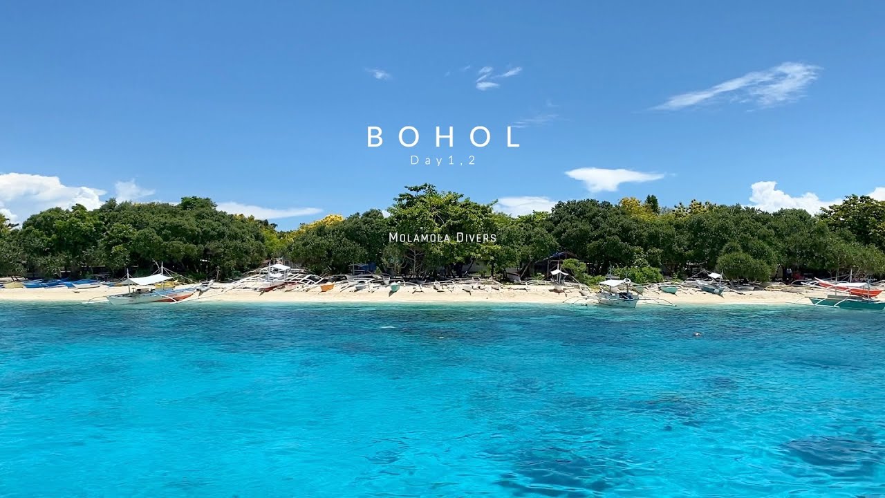 보홀 스쿠버 다이빙 여행 Day 1, 2_발리카삭, 잭피쉬 떼_온다이브