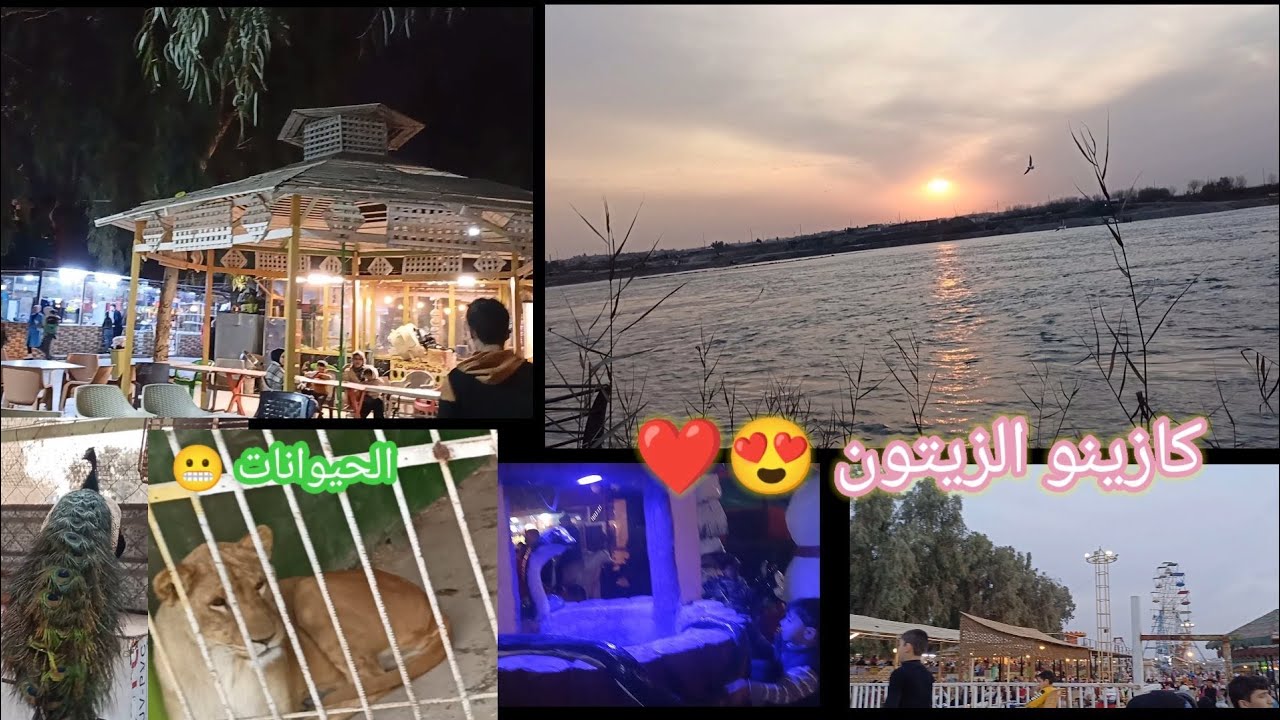 طلعنا سفرة على كازينو الزيتون🎡🛳️🌊🐯(موصل✨) ألاجواء 👌