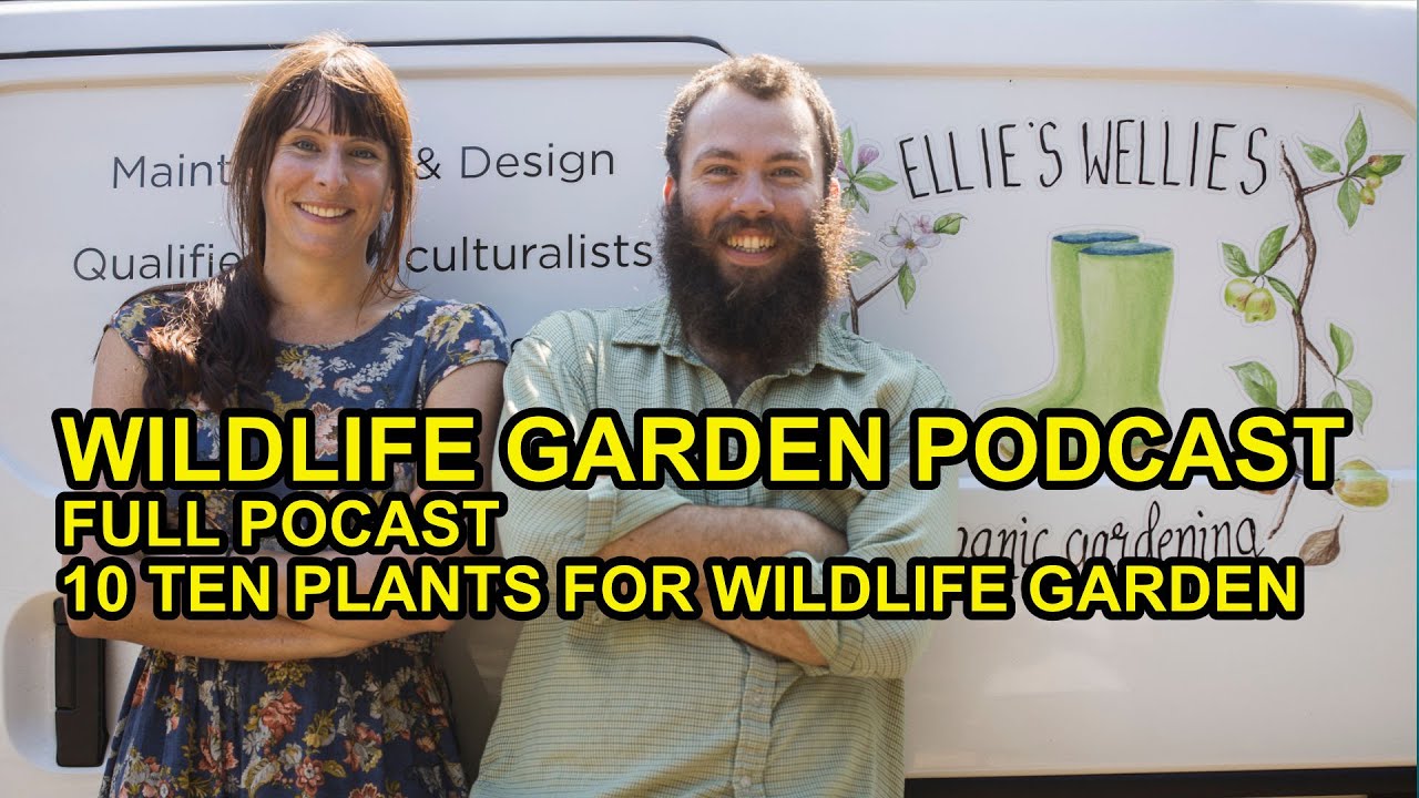 Top 10 Plants for Wildlife Gardens ft Wildlife Garden Podcast FULL