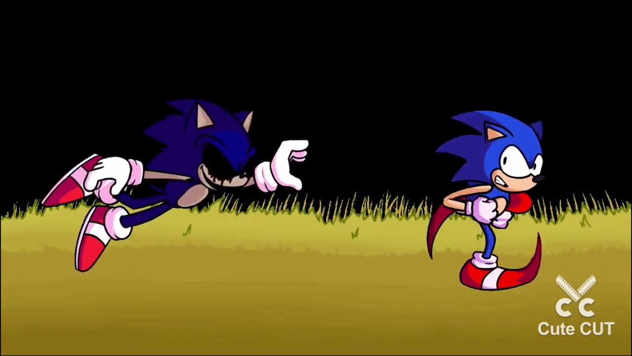 confronting yourself (new sonic.exe vs old sonic) (go watch my other videos now. I want more views.)