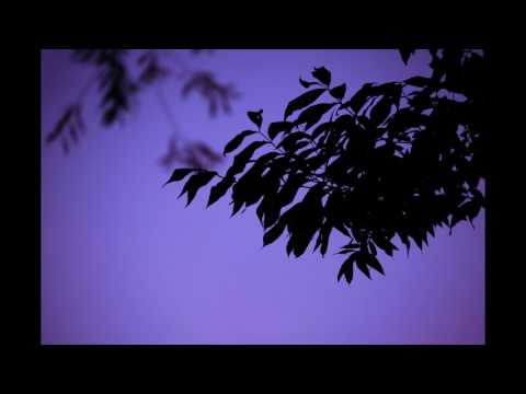 夢一夜 - 南 こうせつ