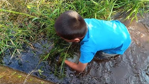 Ternyata ikannya kecil kecil@frengky kreasi