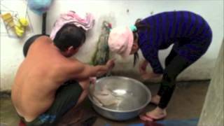 Killing And Eating A Chicken *Graphic Content* Killing And Eating A Chicken *Graphic Content*