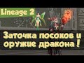 Lineage 2: заточка\модификация магических посохов Маммона и оружие дракона у орка! (Homunculus)