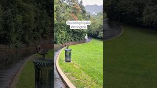 Exploring Ngaio, Wellington
