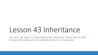 Year 10 Science - Lesson 43 - Inheritance